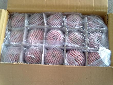 ����t��ʿ�O���r��/2014�t��ʿ�O���r